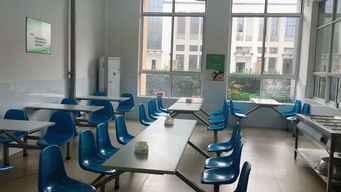 增強食品安全意識樹立餐飲行業典型，桐溪幼兒園入列A級餐飲服務單位